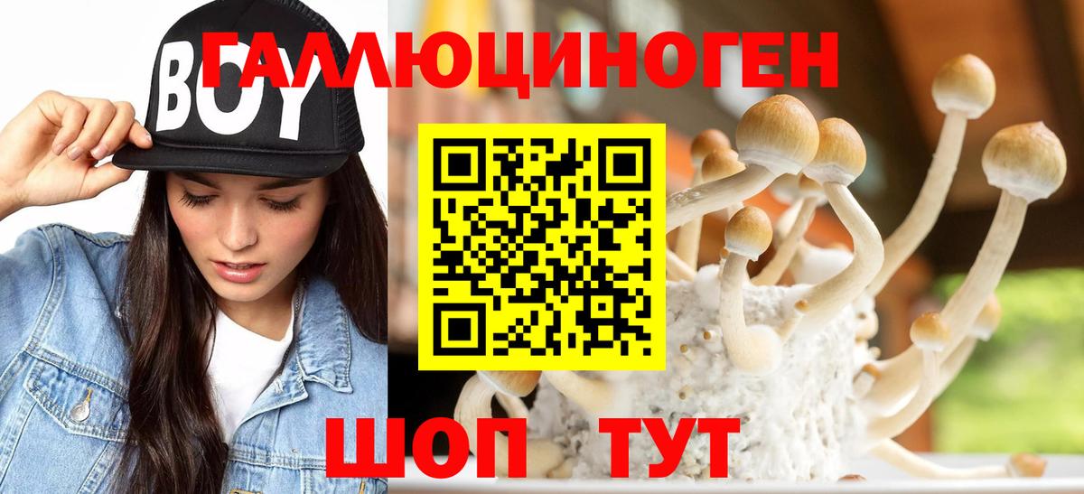Галлюциногенные грибы MAGIC MUSHROOMS Зеленогорск